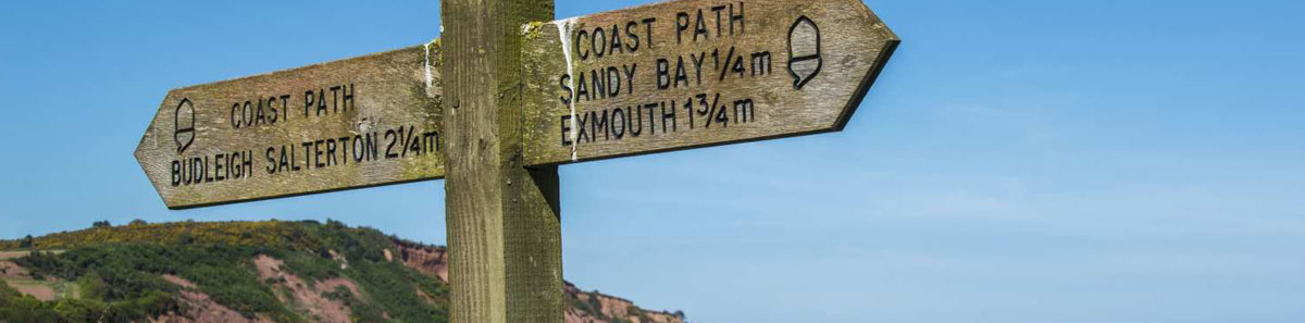 Handyman in East Devon